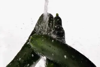Ядем съмнителни краставици