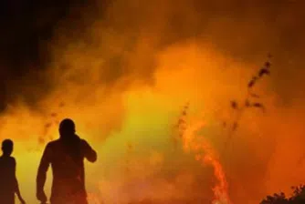 Стотици декари житна реколта горят в Хасковско всеки ден