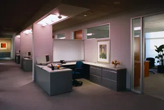 Правила за оцеляване в новото хилядолетие