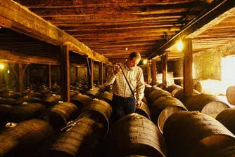 Продадоха бутилка коняк от 1582 г.