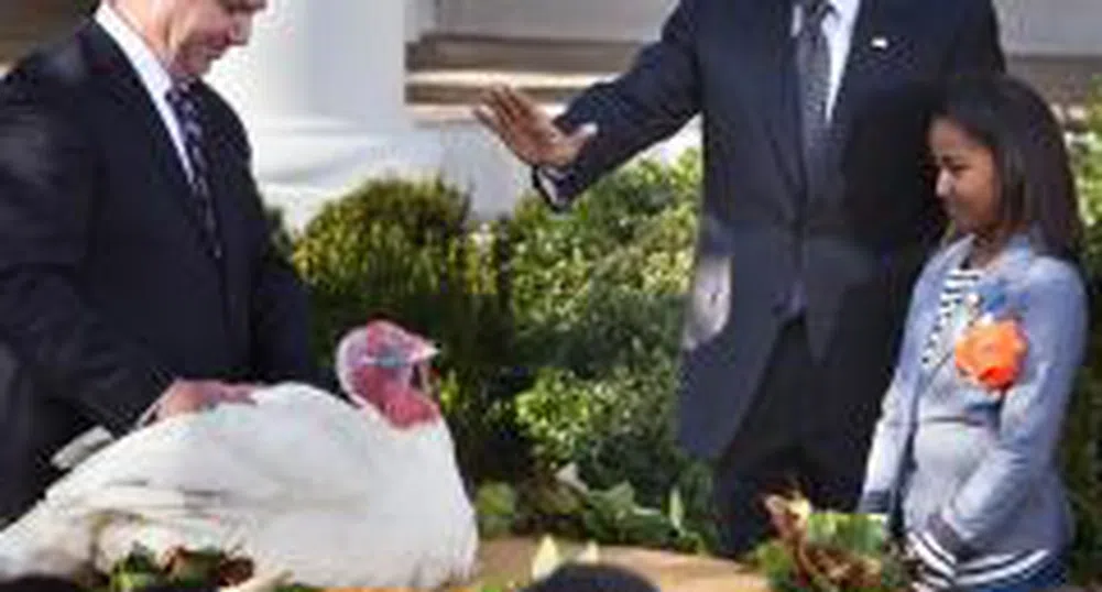 Обама помилва пуйките Епъл и Сайдър