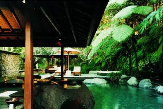 Шест луксозни скривалища в джунглата