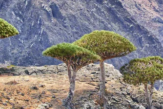 7 места, които не бива да посещавате по политически причини