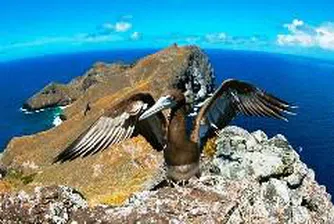 Новите чудеса на света