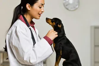 Драги: Не трябва да чакаме повече за Спасителния фонд