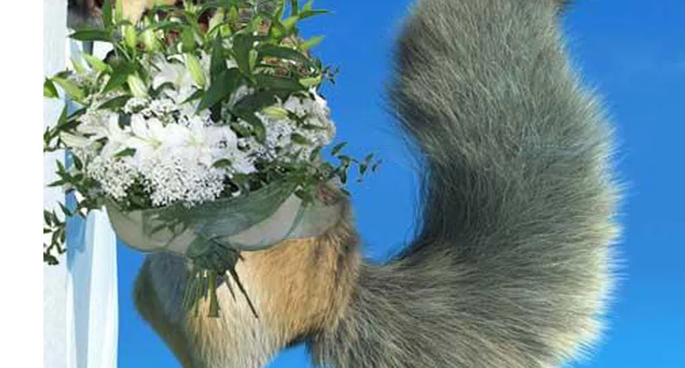 Знаете ли кой празник е днес?