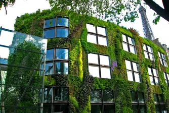 Висящите градини на големите мегаполиси