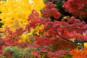 Какво време ни очаква през септември?