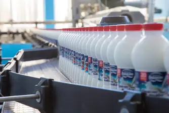 Расте потреблението на пълномаслено мляко, айрян и био продукти