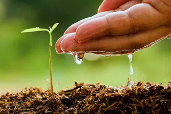 Лондон плаща субсидии за селско стопанство и научни изследвания