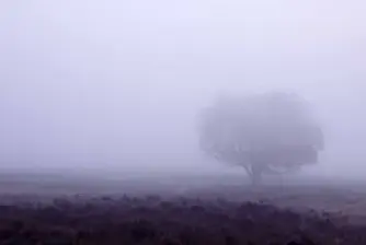 Рисковете на мъглата