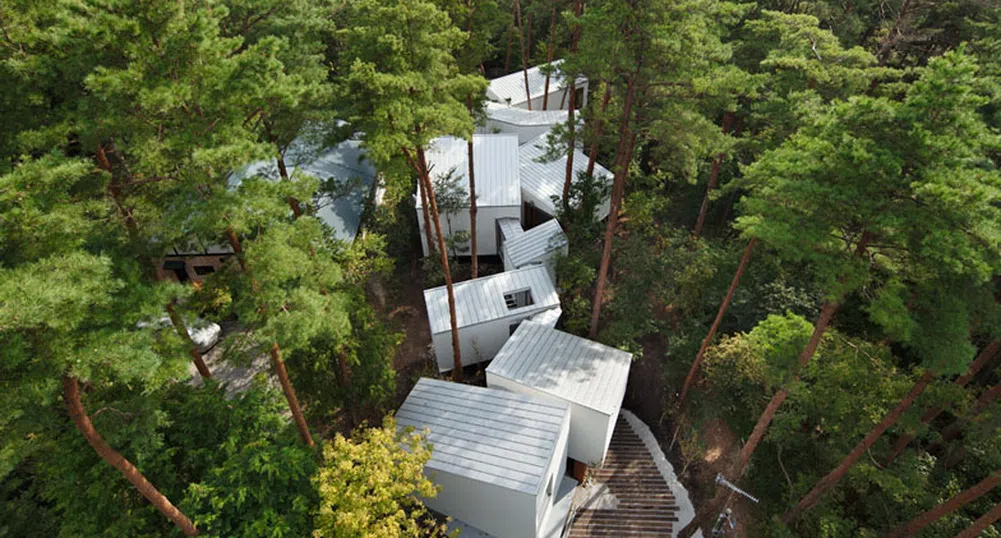 Уникална къща, проектирана между дърветата