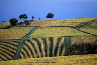 Изкупуване при EЛАРГ фонд за земеделска земя АДСИЦ
