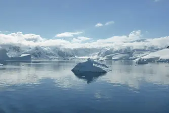 В Антарктическия океан създават най-големия морски резерват