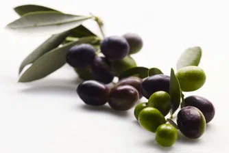 Износът на Гърция процъфтява напук на кризата