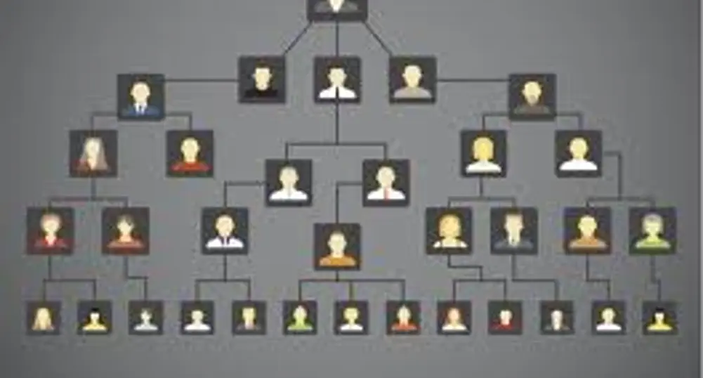 Изследователи съставиха родословно дърво с 13 милиона роднини