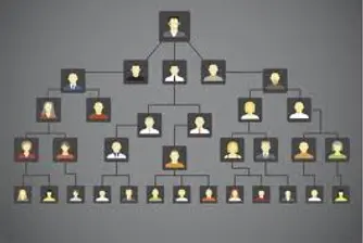 Изследователи съставиха родословно дърво с 13 милиона роднини