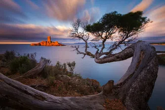 12 малко известни факта за Франция