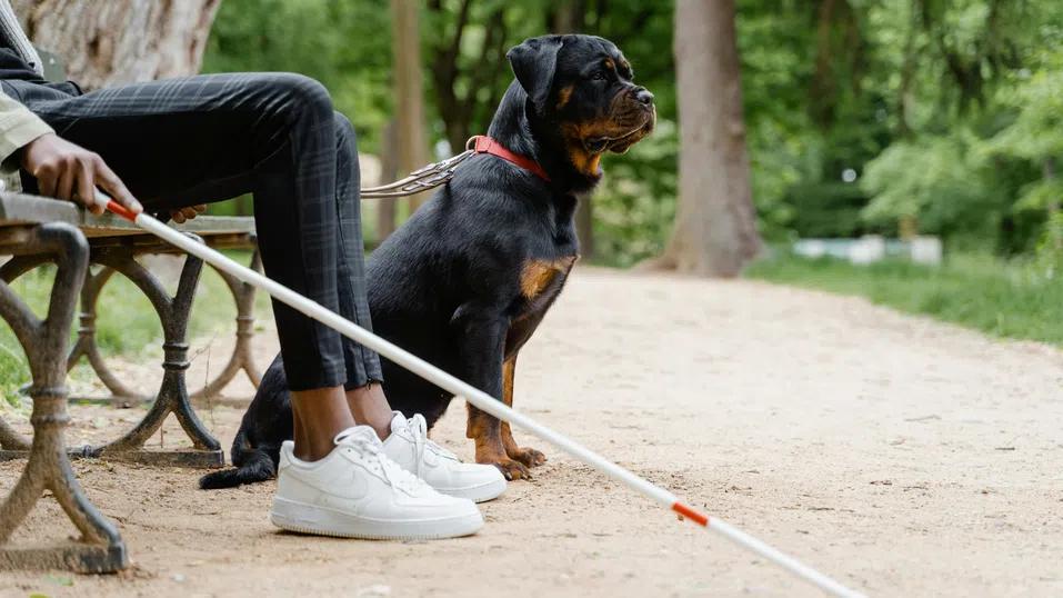 Смарт очила с изкуствен интелект помагат на хора със зрителни увреждания да се движат самостоятелно