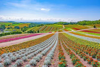 Остров Хокайдо навлиза в надпреварата за чипове: Това ли е най-големият индустриален риск – и шанс – за Япония?