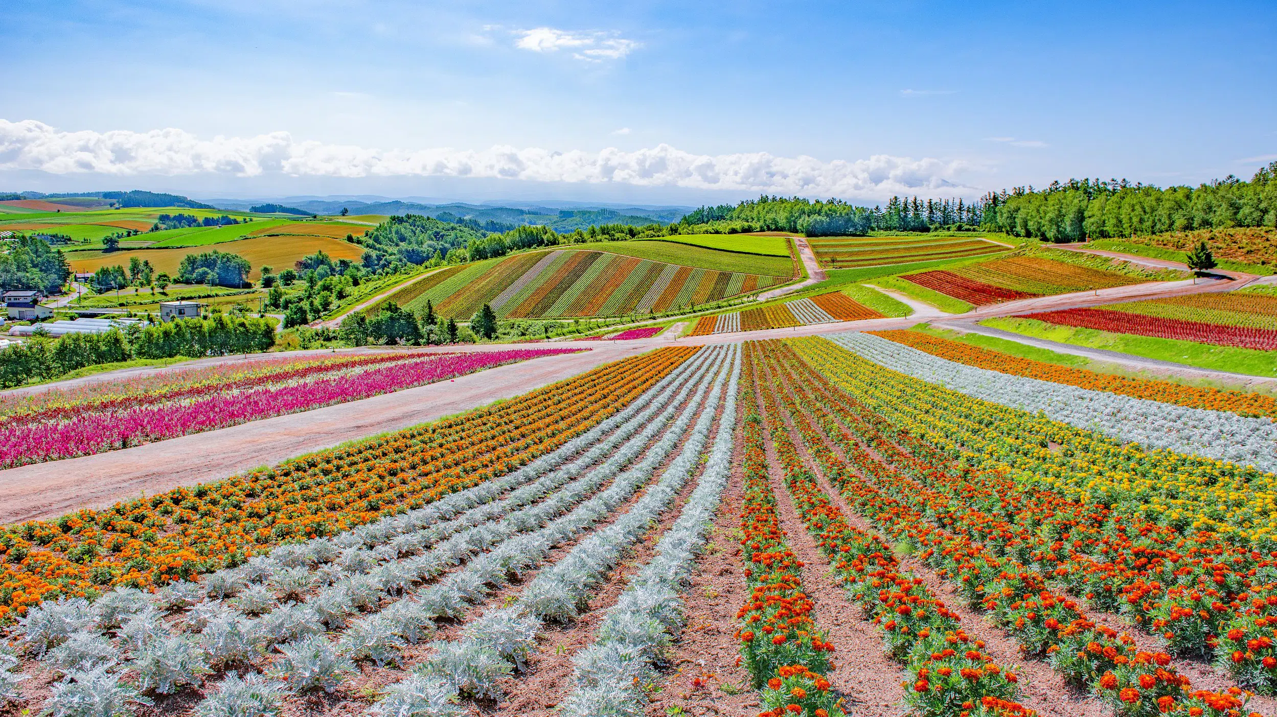 Остров Хокайдо навлиза в надпреварата за чипове: Това ли е най-големият индустриален риск – и шанс – за Япония?