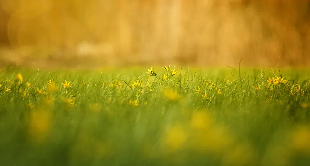 От 10 до 39 градуса през юли. Ще вали ли и кога?
