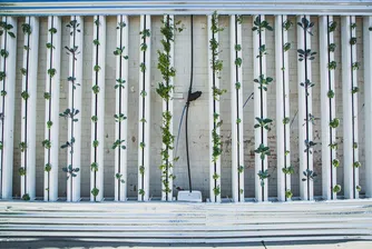 Вертикално земеделие: Оранжерии в сърцето на града