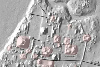 Откриха нова „огромна древна цивилизация на маите“ на 2000 години