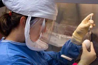 Първи случай на заразен с птичи грип човек в Чили