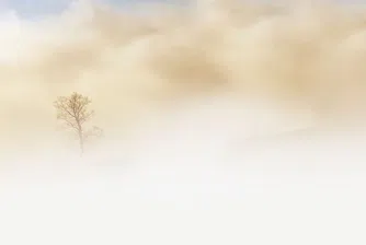 Намалена видимост в различни части на страната заради мъгла