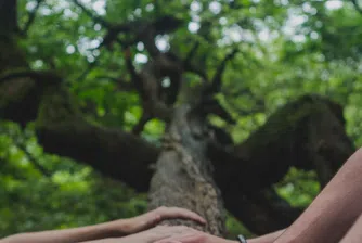 5 умения, от които се нуждаете, за да бъдете наети. И за да растете