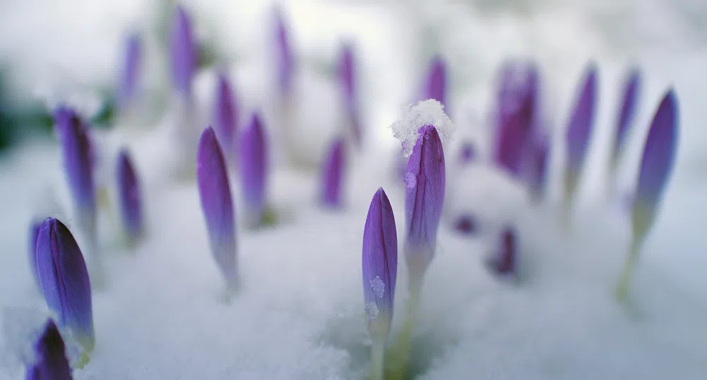 Жълт код за опасно време в 24 области на страната