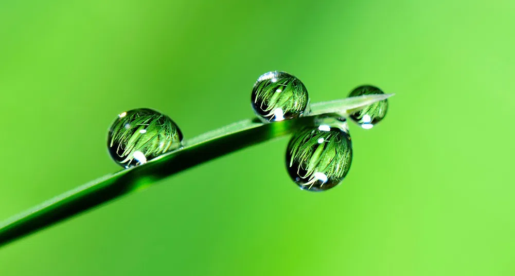 Жълт код за валежи и гръмотевични бури за 14 области