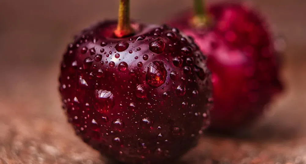 Тонове кюстендилски череши остават по дърветата, няма кой да ги изкупи