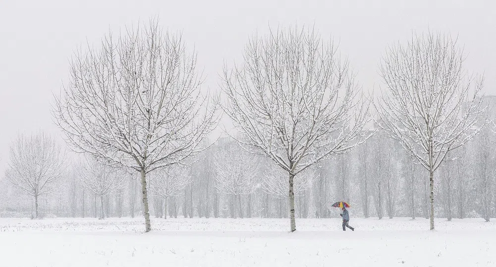 Зимата се завръща. Кога да очакваме студ и сняг?