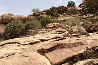 Един милион разселени заради сушата в Сомалия