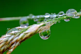 Къде в София няма да има вода на 21 декември?