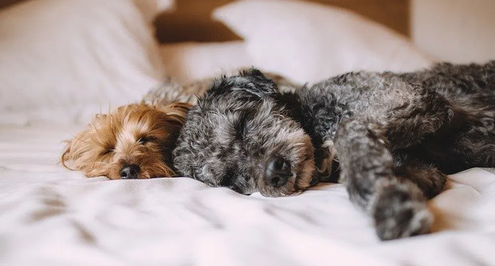 Как заспиването 30 минути по-рано влияе на тялото ви?