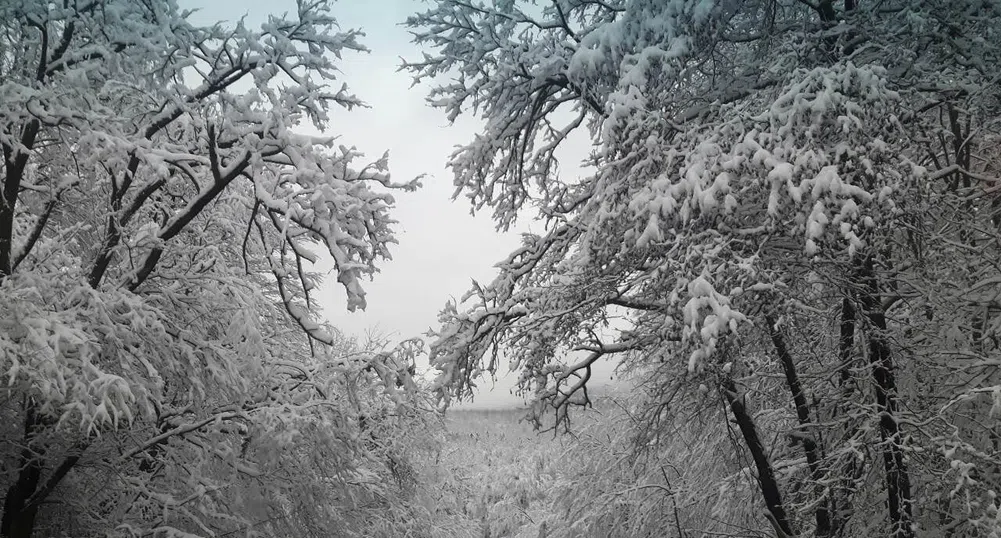 Републиканските пътища са проходими, обработват ги 620 машини