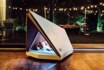 Ford създаде шумоизолирана къщичка за кучета