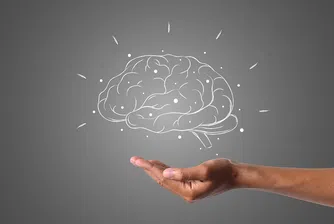 Как черепът осигурява имунитет на мозъка?