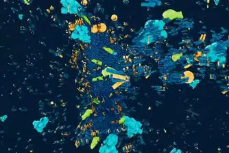 Миенето на ръцете предизвиква трилиони молекулярни експлозии