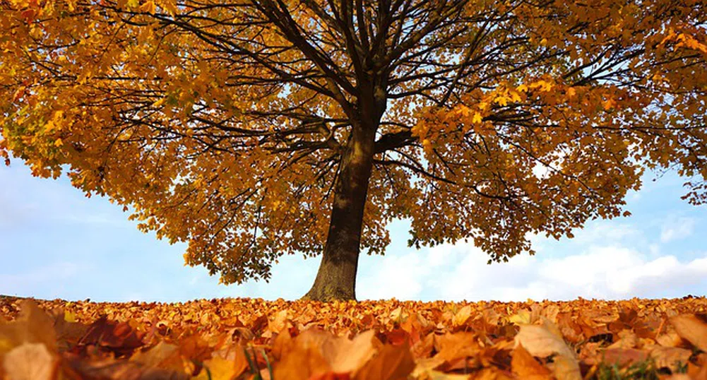 Събота започва със слънце, но идват облаци и градушки