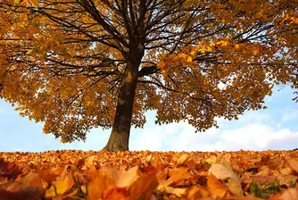 Събота започва със слънце, но идват облаци и градушки