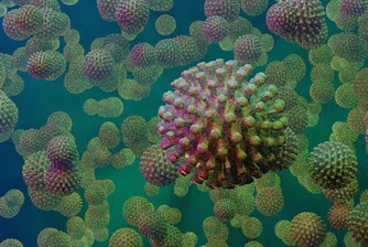 Положителните проби за COVID-19 у нас са 0.7% от всички