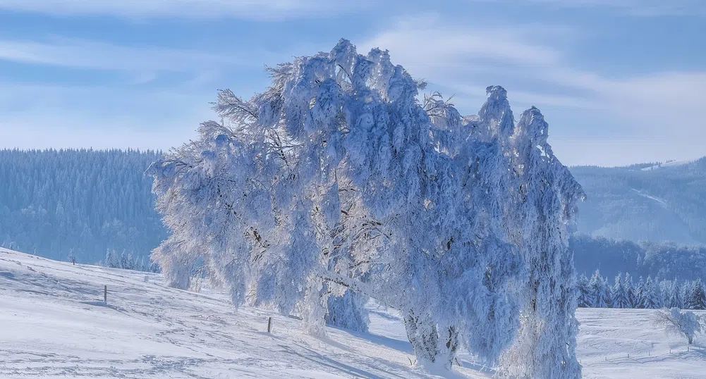 Жълт код за силен вятър в 12 области на страната