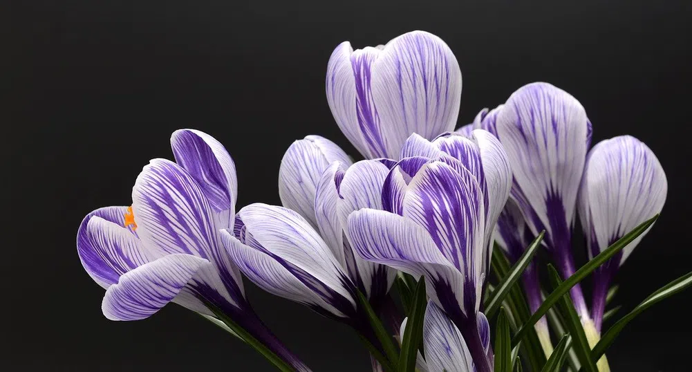 И днес ни очаква пролетно време. Кога ще застудее?