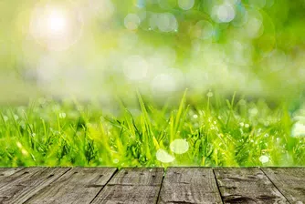 Седмицата започва със слънце и високи температури