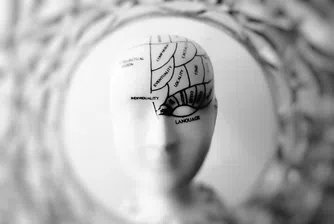 Можем ли да вярваме напълно на суперчатботовете?