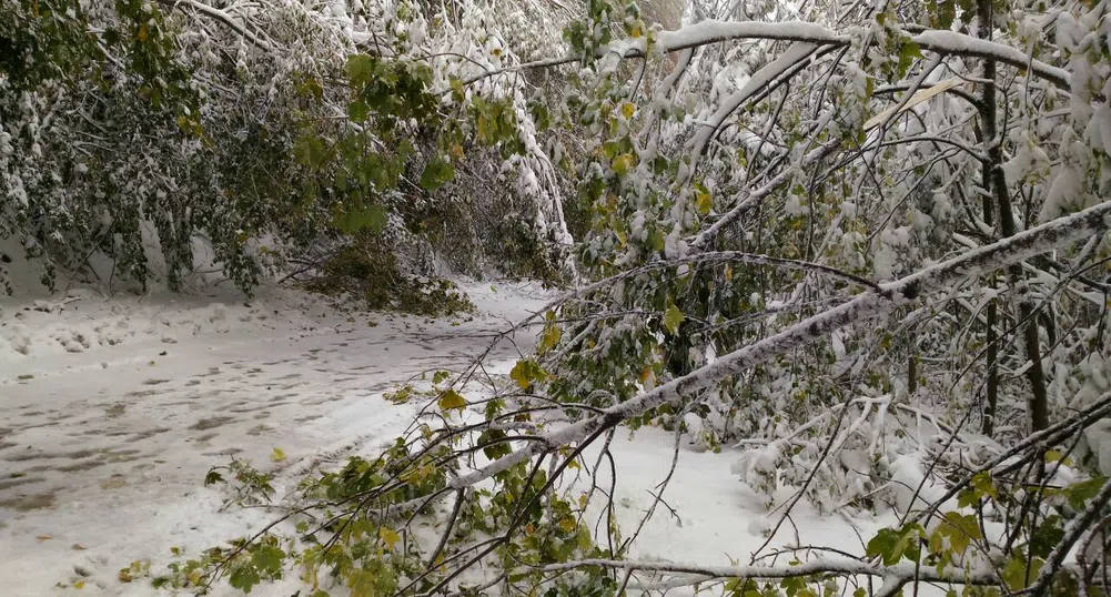 Кои проходи остават затворени днес
